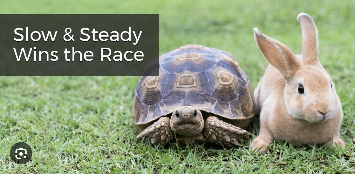 The Tortoise and the Transformation: Why Slow and Steady Wins the Habit Race